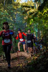 BIB: 
                            <button type="button" onclick="openModal(19242602)" class="btn btn-primary btn-sm float-right btn-popup" data-toggle="modal" data-target=".modal-high-quality">
                        <i class="fas fa-shopping-cart"></i> Add to Cart
                    </button>
                                            <button type="button" onclick="isThisMe(19242602, true)" class="btn btn-success btn-sm float-right btn-popup btn-isme hidden" data-toggle="tooltip" data-placement="bottom" title="นี่คือรูปของคุณใช่ไหม คลิกที่นี่เพื่อเอาเข้าอัลบั้ม">
                        <i class="fas fa-plus"></i> Add to album
                    </button>
                    <button type="button" onclick="isThisMe(19242602, false)" class="btn btn-warning btn-sm float-right btn-popup btn-isnotme hidden">
                        <i class="fas fa-ban"></i> Remove from album
                    </button>